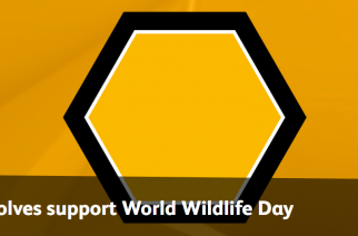 Wolverhampton bez wilka w herbie. Klub przypomina o World Wildlife Day!